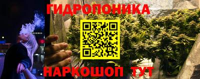 стафф Моздок